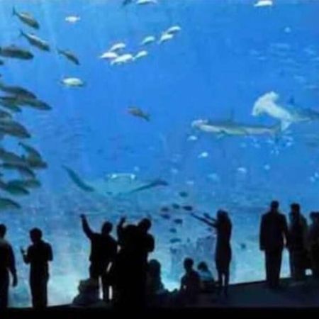 L'Amazonia : Face A La Basilique Parking Gratuit Διαμέρισμα Μπουλόν-Σιρ-Μερ Εξωτερικό φωτογραφία